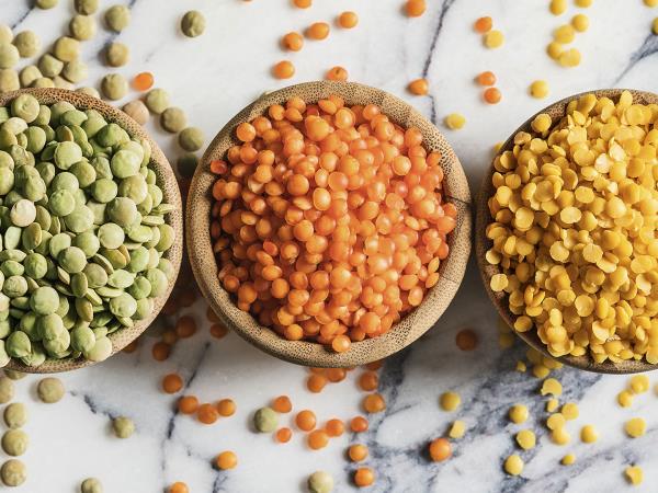 Majhen, a odličen borec proti sladkorni bolezni in holesterolu